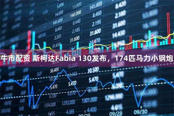 牛市配资 斯柯达Fabia 130发布，174匹马力小钢炮